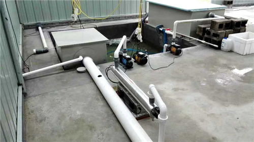 水產養殖微濾機廠家 諸城市益海環保科技