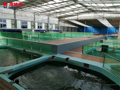 養殖漆保護水泥池壁不受水體的侵蝕